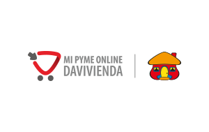 Mi PYME online